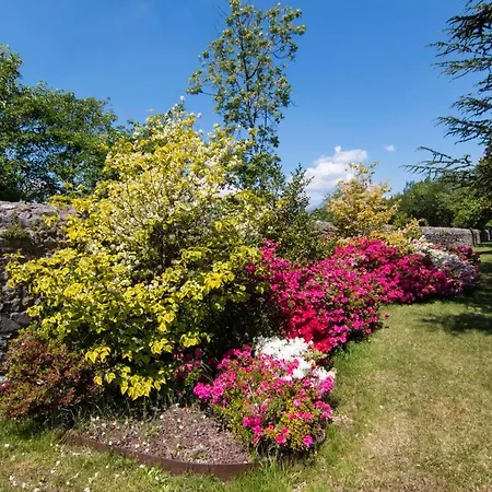Affittacamere Castello Di Susans Maiano (Friuli Venezia Giulia)